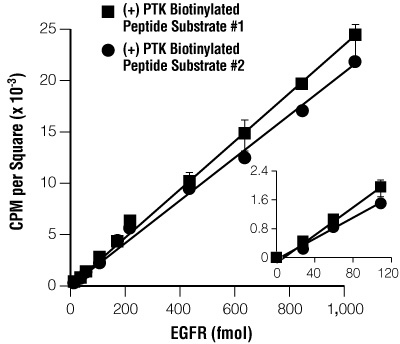Linear detection of EGFR kinase activity with the SignaTECT® PTK Assay System.