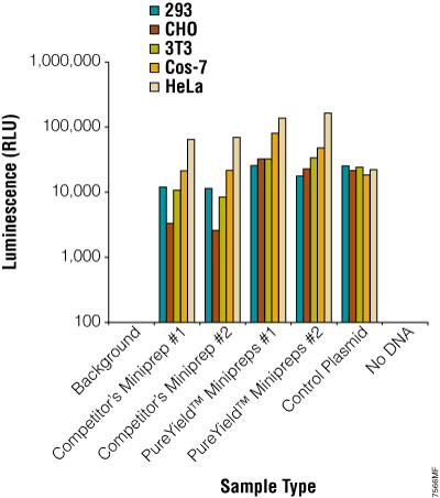 Plasmid DNA prepared using the PureYield™ Plasmid Miniprep System consistently works well in transfection experiments.