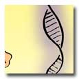 eh64btn