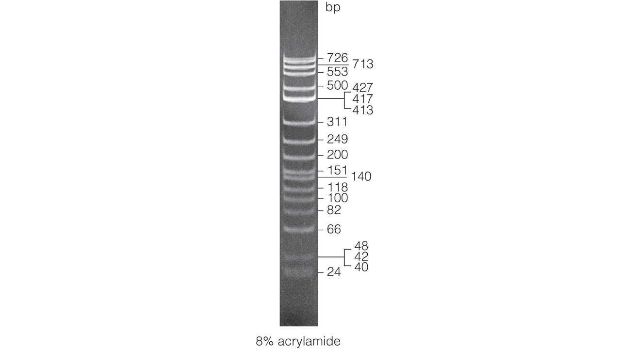 PhiX174 DNA/HinfI Markers. Load 1 microliter/lane.