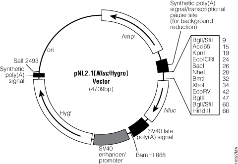 pNL2.1[Nluc/Hygro] Vector.