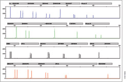 Figure 10913MA