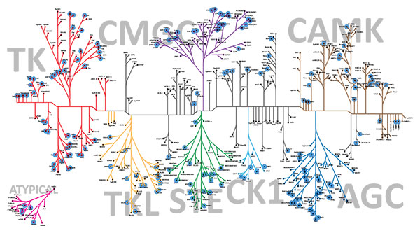 Figure 11534MA