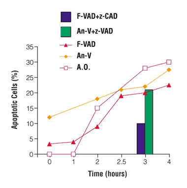 Time-course analysis of Fas-driven apoptosis in U937 cells.