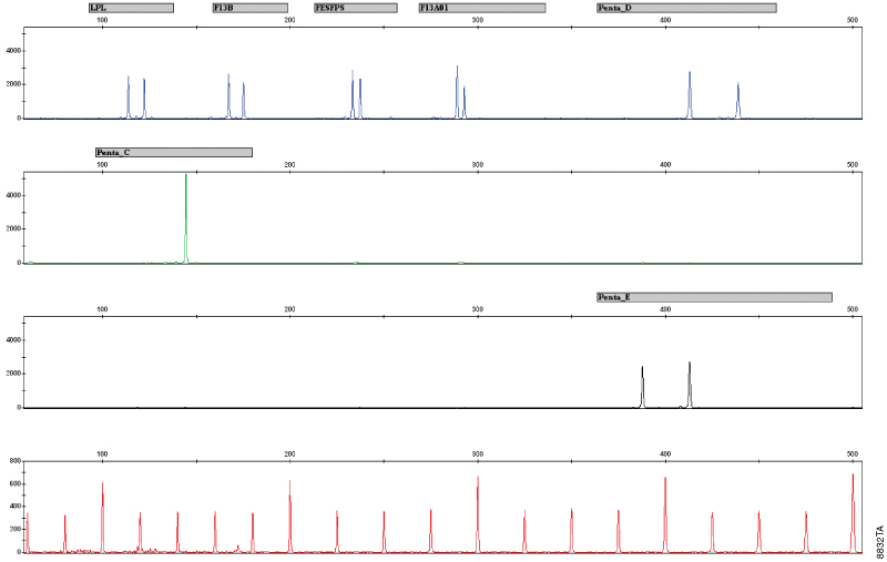 The PowerPlex CS7 System, Custom.