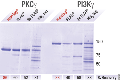 9637MB