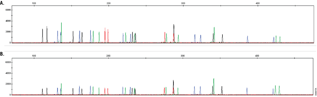Direct amplification of buccal samples on FTA cards.
