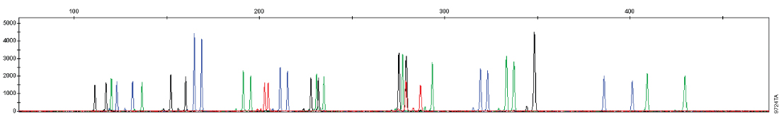 Direct amplification of blood on FTA cards.