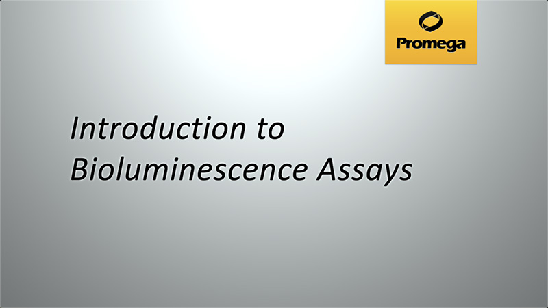 Introduction to Bioluminescent Assays
