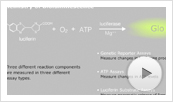 Bioluminescent Assays Animation Thumbnail