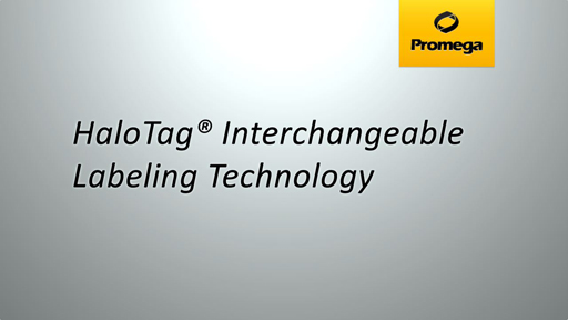 HaloTag® Interchangeable Labeling Technology