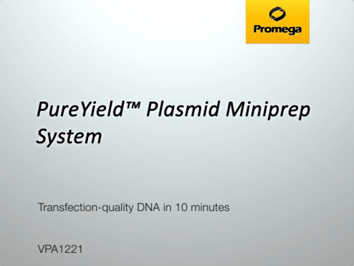 PureYield Plasmid Miniprep System Video
