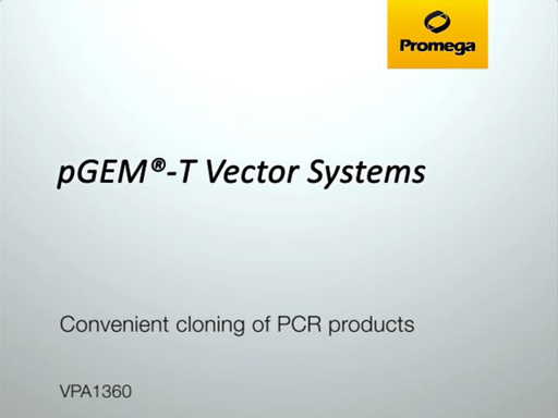 pGEM®-T Vector Systems Video