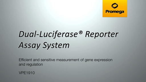 Dual-Luciferase® Reporter Assay System Video