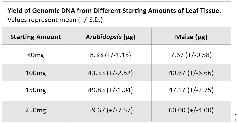 Yeild of Genomic DNA from Different Amounts of Leaf Tissue.
