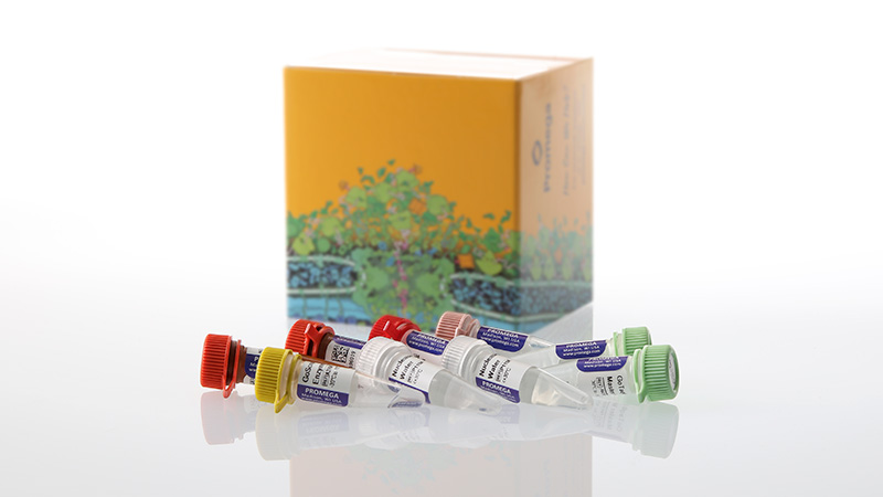 am2120-gotaq-enviro-wastewater-sars-cov-2-system-n2-3