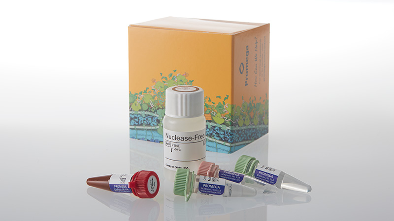 am2201-gotaq-legionella-pneumophila-qpcr-kit