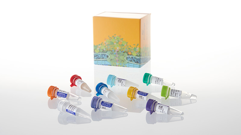 PCR Optimization Kit