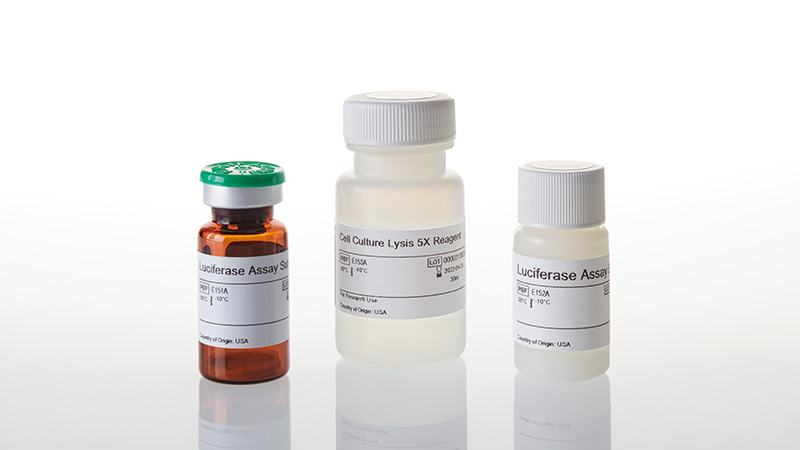 E1500_Luciferase-Assay-System_3