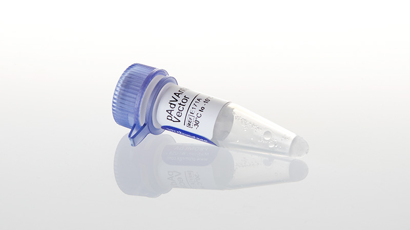 E1711_pAdVAntage--Vector--20ug_3