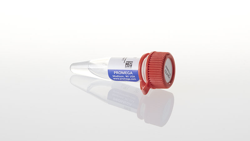 G6601_HaloTEV-Protease_3