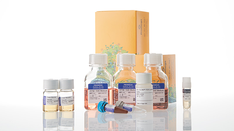 ja1231-raji-ldh-hibit-cd20-ko-tck-bioassay