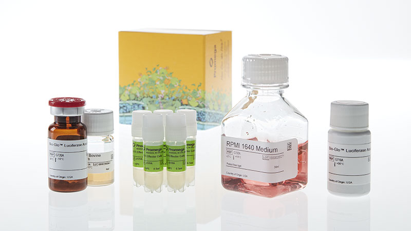 JA2295_GITR-Bioassay-5X_3