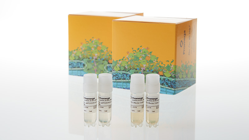 JA6072_ICOS-Blockade-Bioassay--Propagation-Model_3