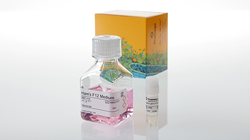 JA9331_Fc-RIIb-aAPC-CHO-K1-Cells_3