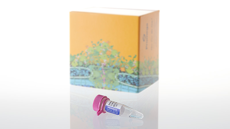 L4461_Amino Acid Mixture-Complete_3