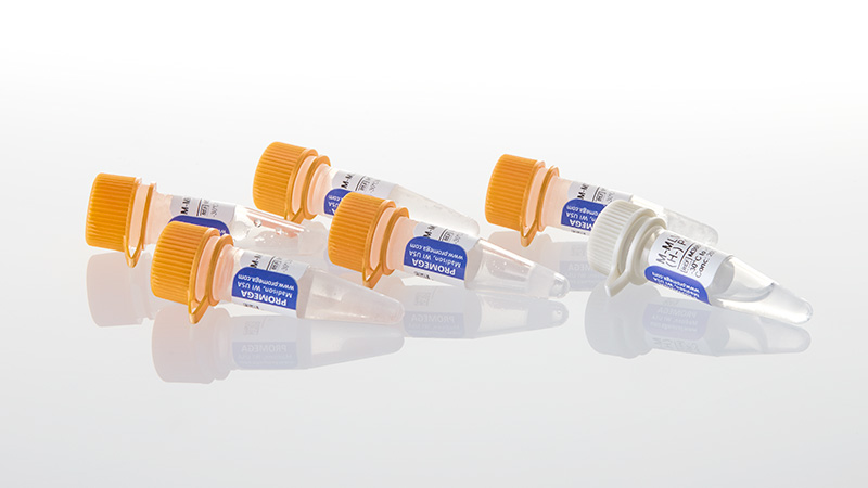 M3683_M-MLV-RT-RNase--H---Point-Mutant--50000u_3