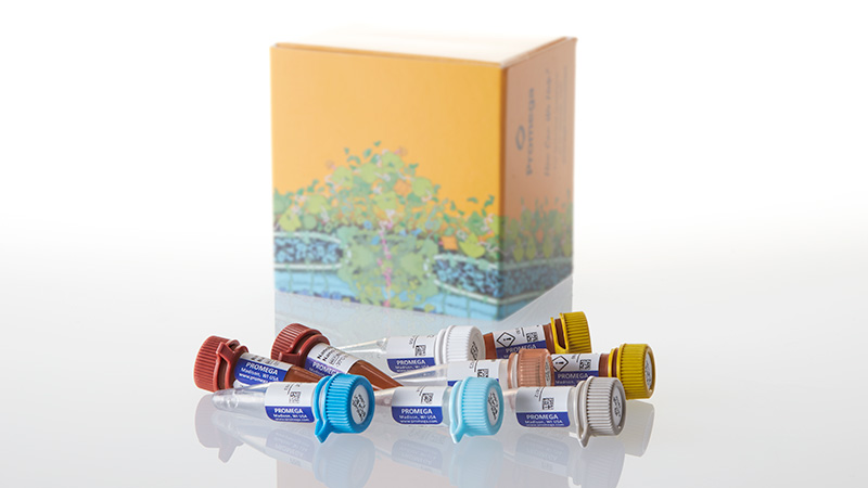 N1830_NanoBRET--BRD4-3aH3-3-Interaction-Asy_3