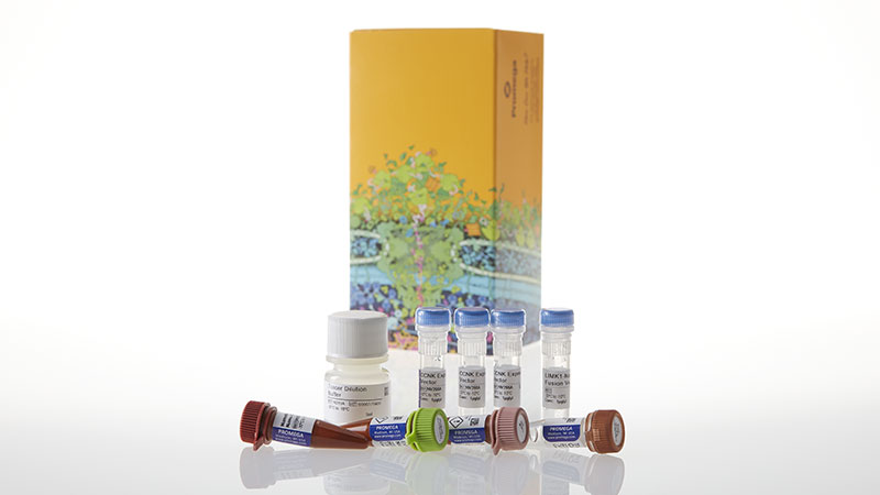 N2601_NanoBRETTM-TE-Intracellular-Kinase-Assay--K-3--1-000-Assays_3