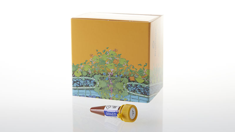 N2602_NanoBRETTM-Tracer-K-3--300ul_3