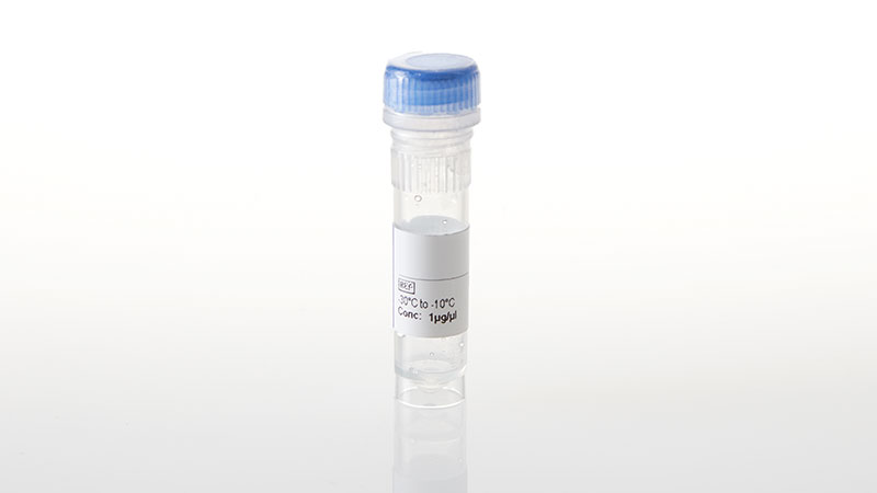 NV3551_NanoLuc--MELK-T460M-