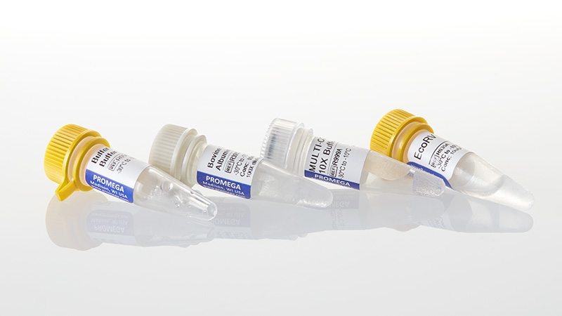 R6351_EcoRV--2-000u_3