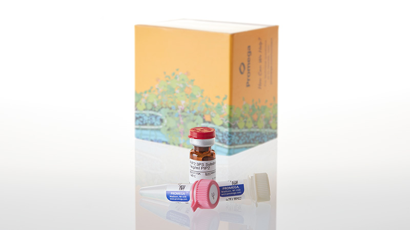 V1701_Lipid-kinase-substrate