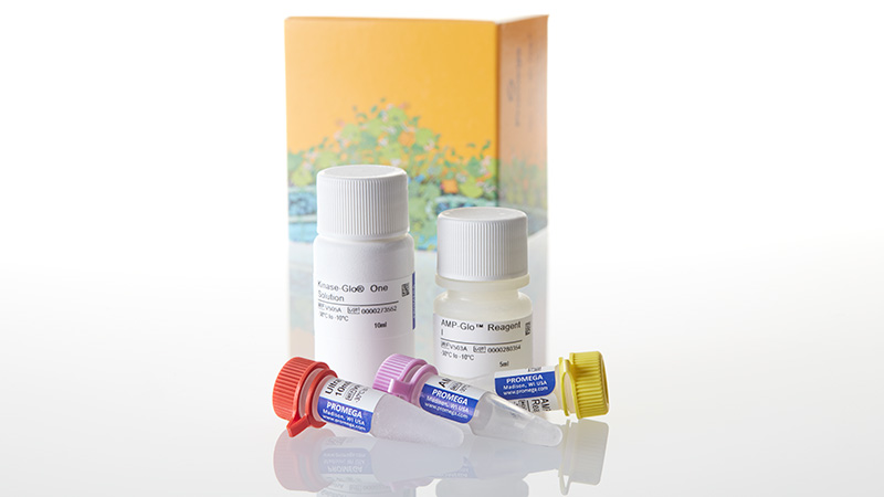 V5011_AMP-Glo--Assay--1000-Assays_3