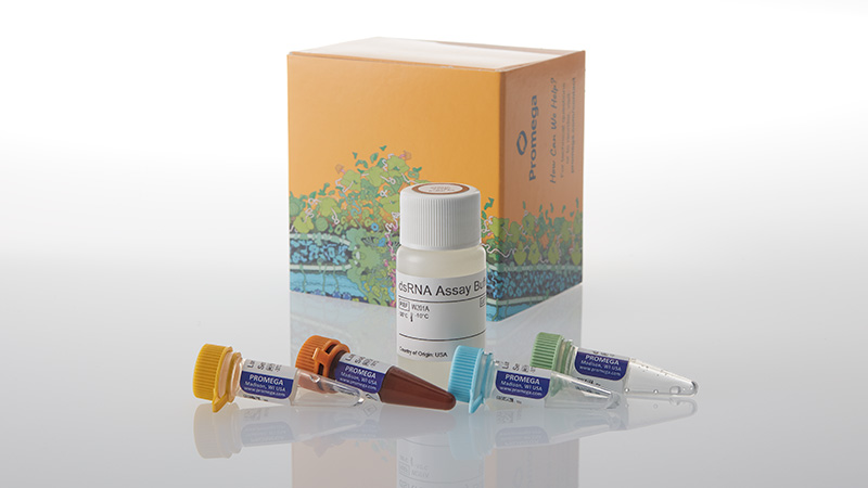 w2042-lumit-dsrna-detection-assay