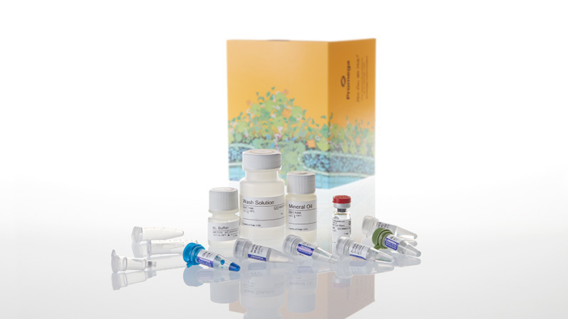Z1001 Promega ReliaPrep™ FFPE Total RNA Miniprep System