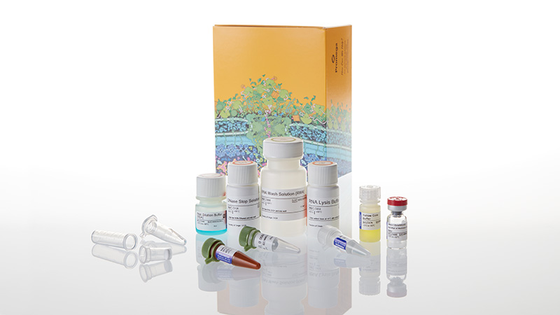 Z3101 Promega SV Total RNA Isolation System, trial size