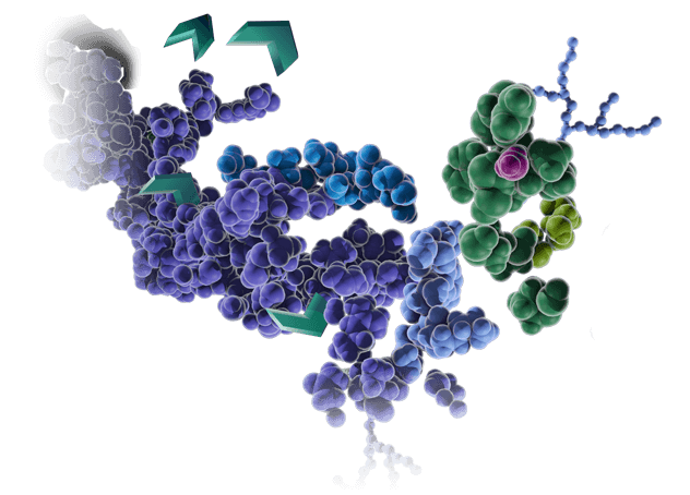 protein standards for mass spec 32609644-L1