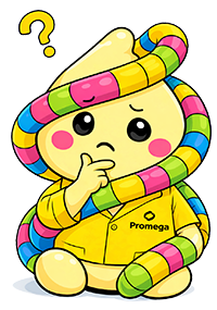 2026-lillyloop-questions-2-small