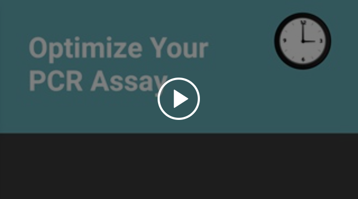 Video: Optimize your PCR Assay