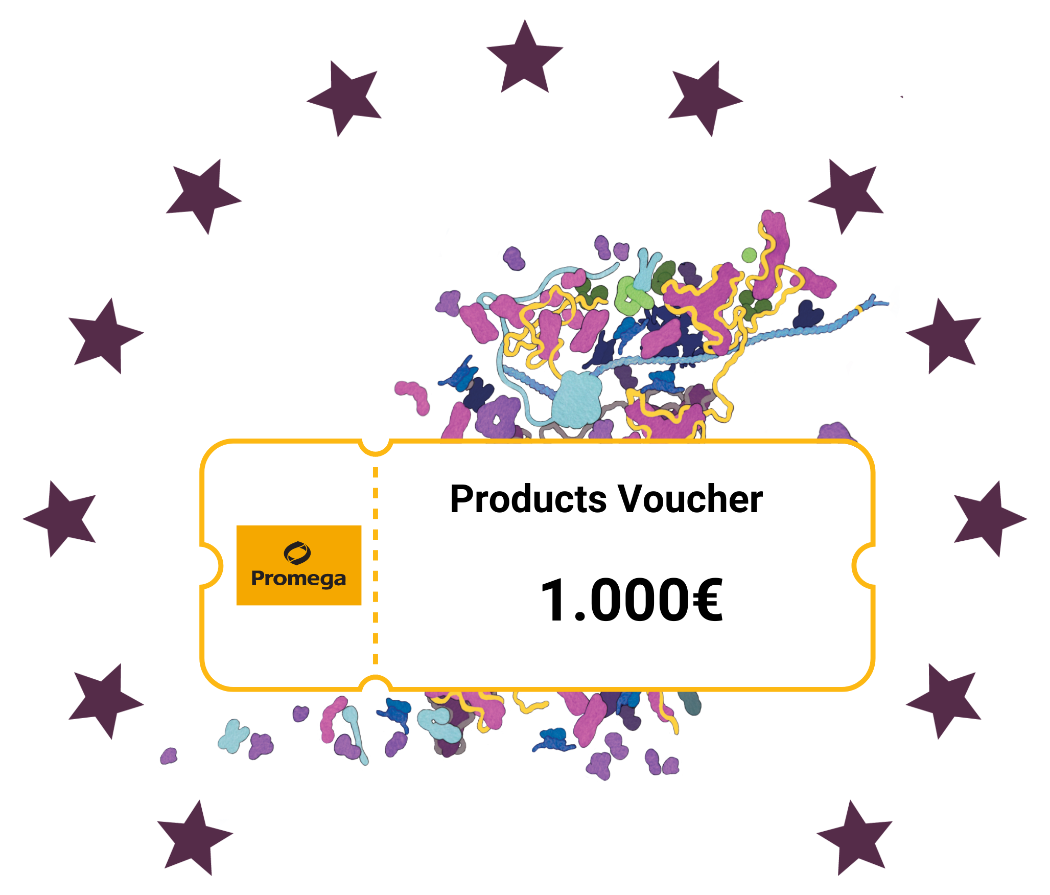 2024-rising-researcher-prizes-3