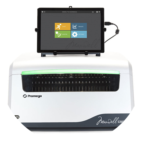 it-maxwell-paid-campaign-csc48