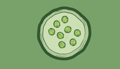 Eight cloning vectors move inside a cell