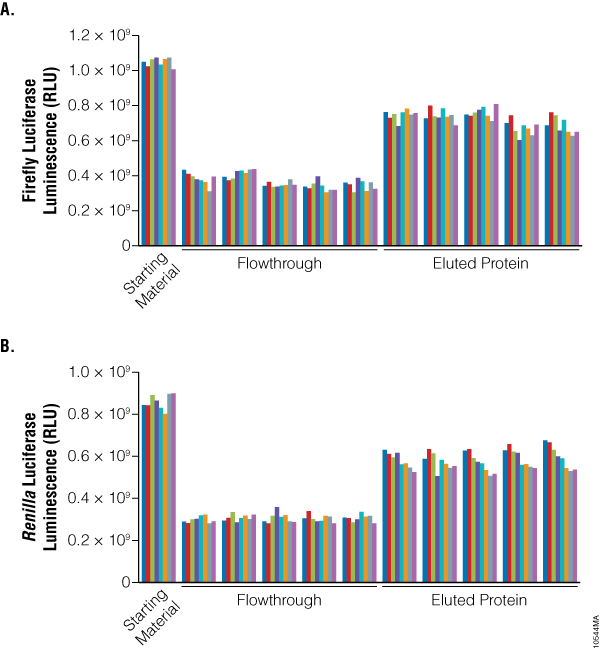 Efficient protein purification with reproducible yield and low variability