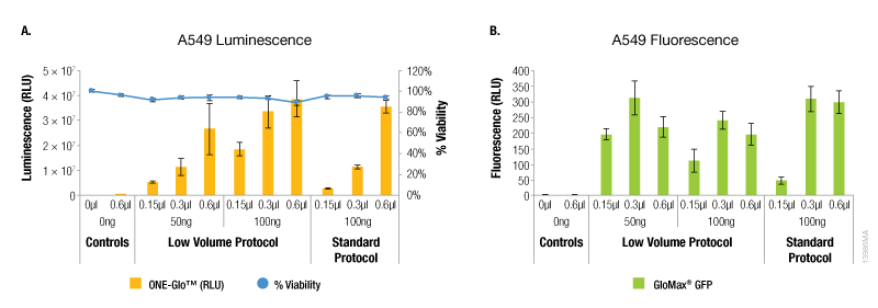 Transfection efficiency for A549 cell line.