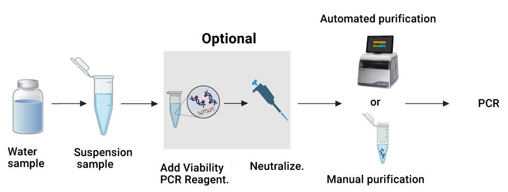 Illustration depicting the GoTaq Legionella qPCR and Viability qPCR Kits assay workflow.